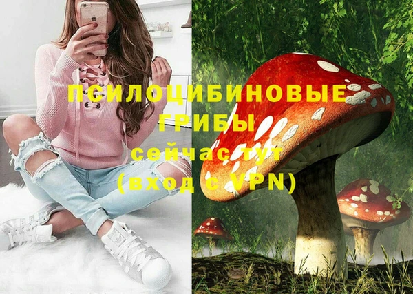 дмт Протвино