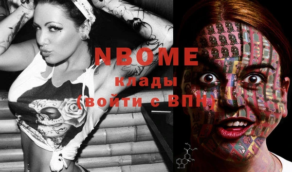 дмт Протвино