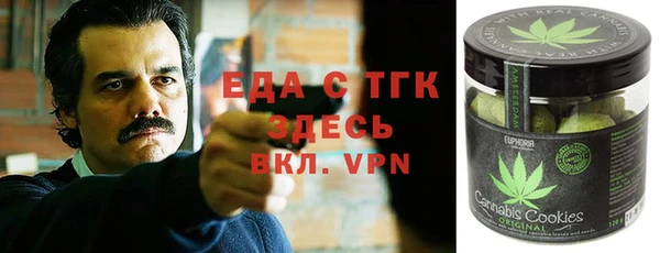 дмт Протвино